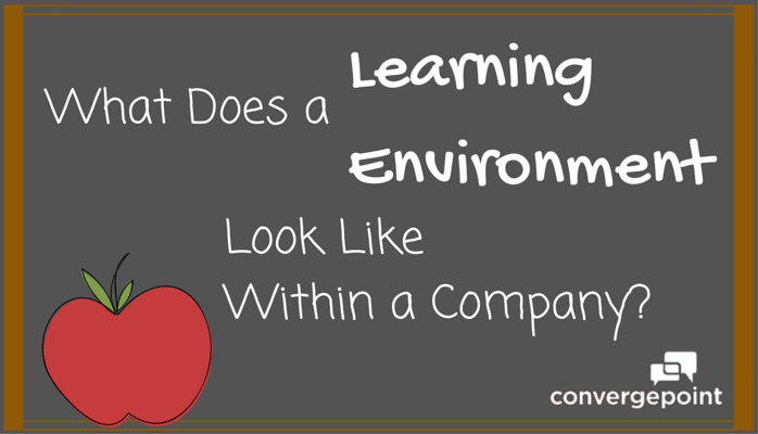 what does a learning environment look like in a company